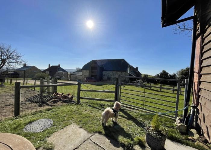 Surf Shack - Impeccable 1-bed Cottage in Shorwell
