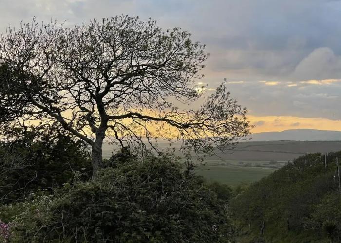 Surf Shack - Impeccable 1-bed Cottage in Shorwell