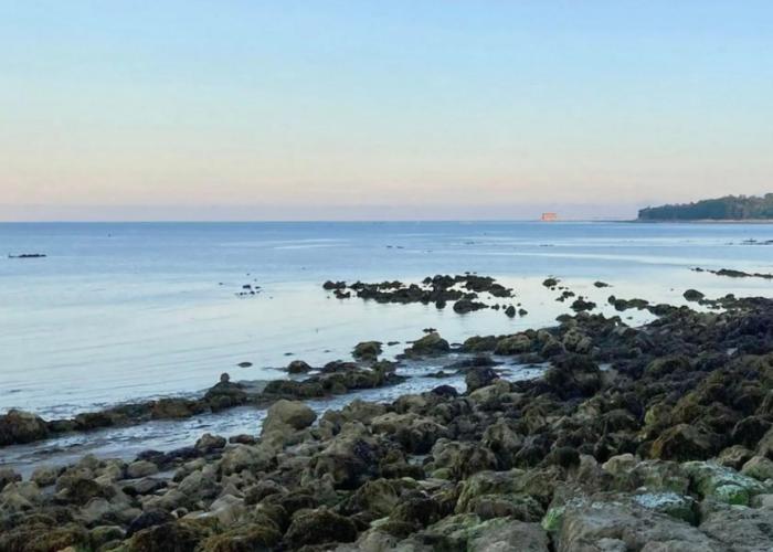 Coastal East View in St Helens