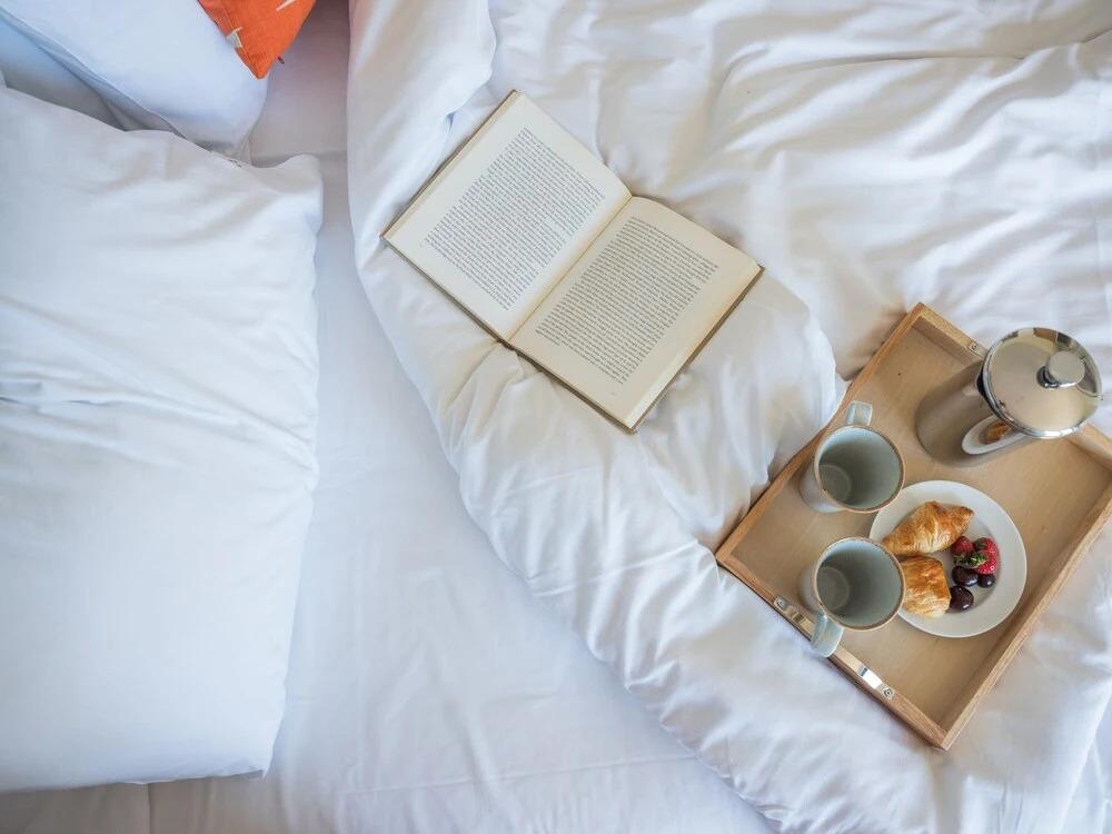 The Mole Resort - Lodges