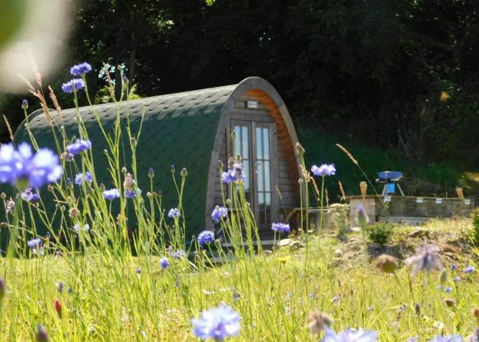 Cosy Pod-cabin Near Beautiful Landscape in Omagh
