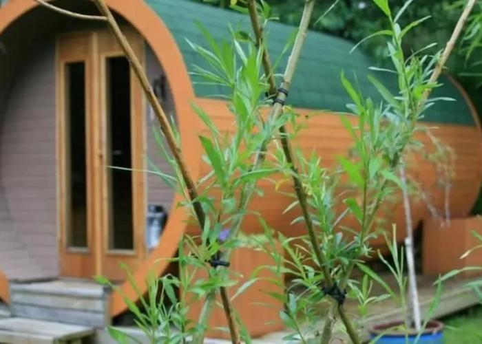 BCC Lochness Glamping