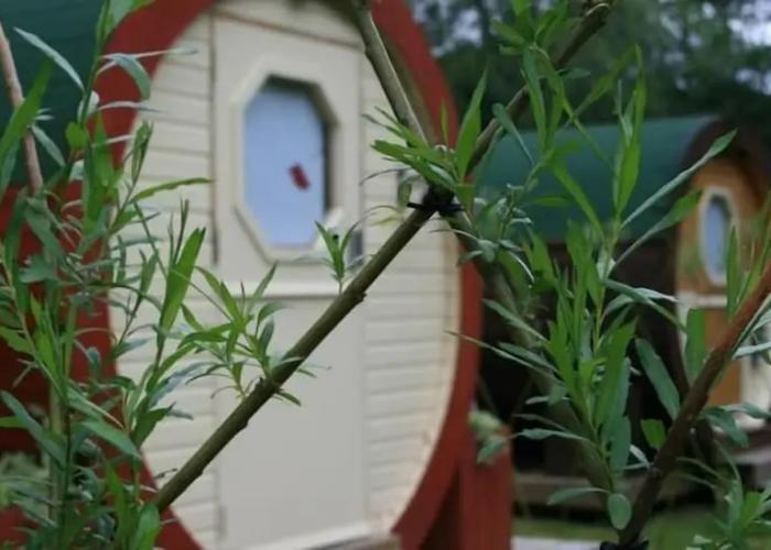 BCC Lochness Glamping