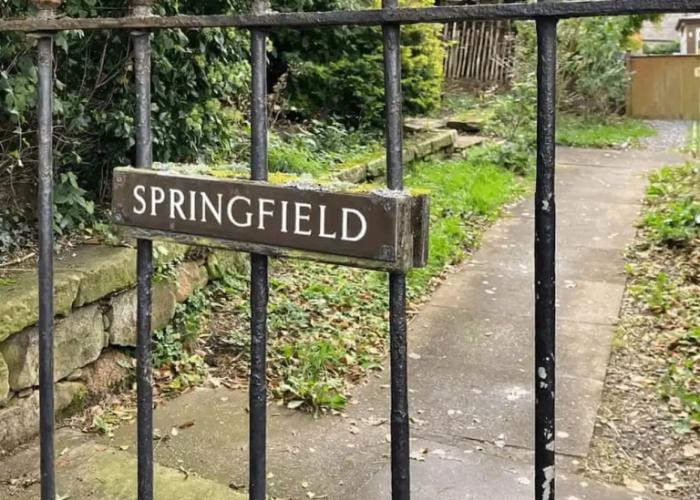 One Springfield Tain