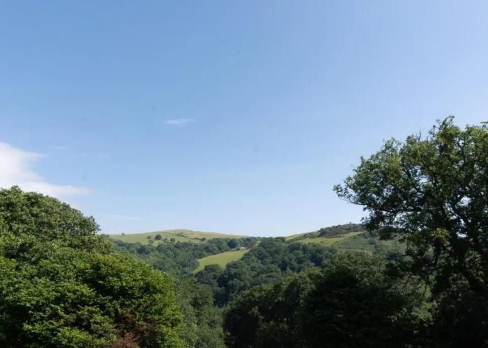 Wood Cabin & 4 Large Bell Tents - Hapus Hideaway