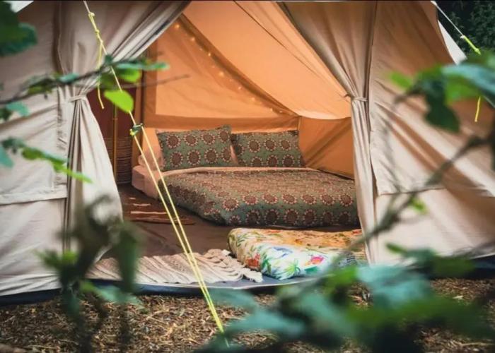 Wood Cabin & 4 Large Bell Tents - Hapus Hideaway