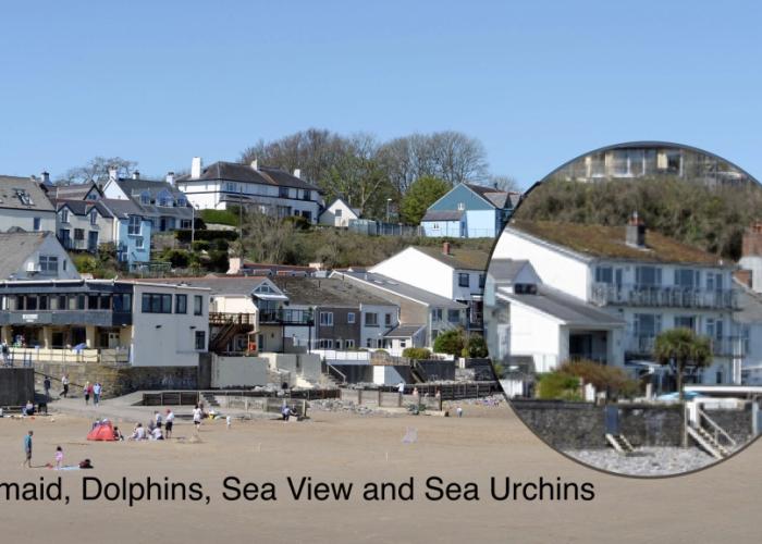 Sea Urchins Apartment - Sea Front Apartment With Views Pet Friendly