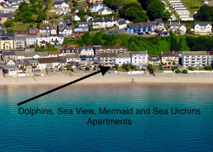 Sea Urchins Apartment - Sea Front Apartment With Views Pet Friendly