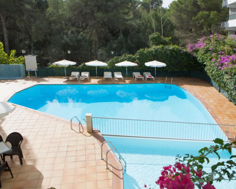 фото Hotel Alea