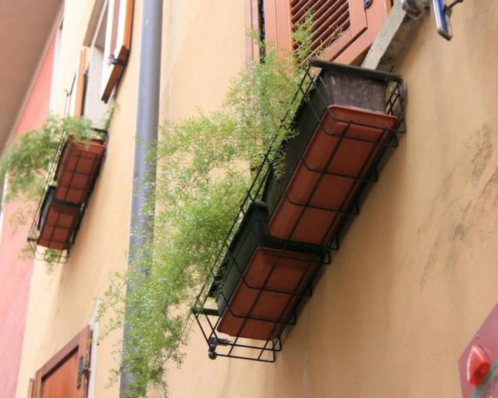 фото Modena
