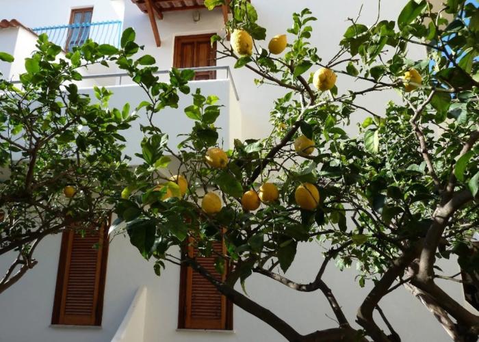 Hotel Cesotta