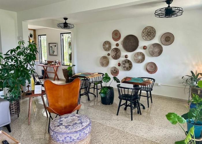 The Serene House Bed & Breakfast