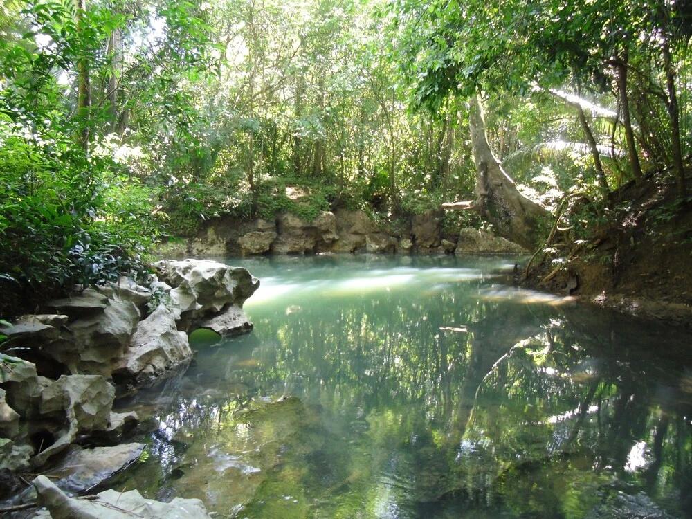 фото Creekside Oasis