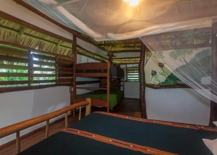 Cotton Tree Lodge