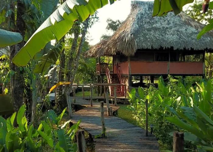Cotton Tree Lodge