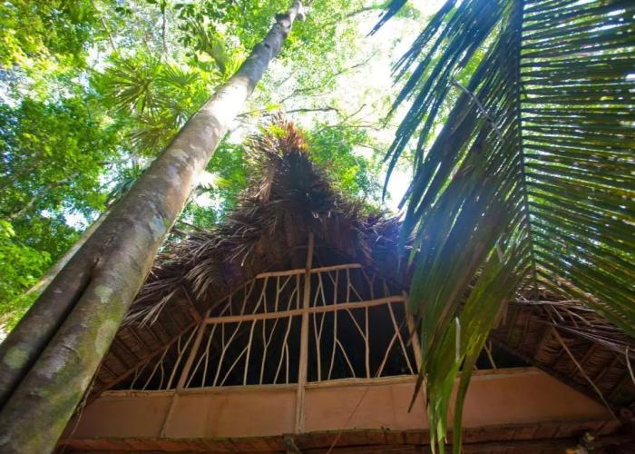 Cotton Tree Lodge