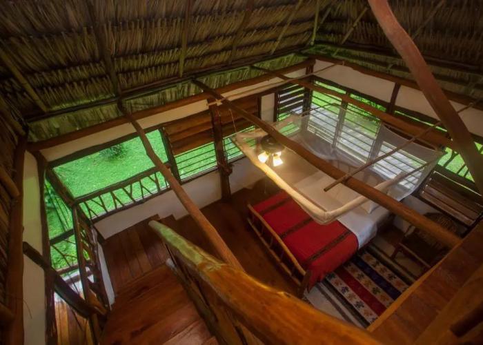 Cotton Tree Lodge