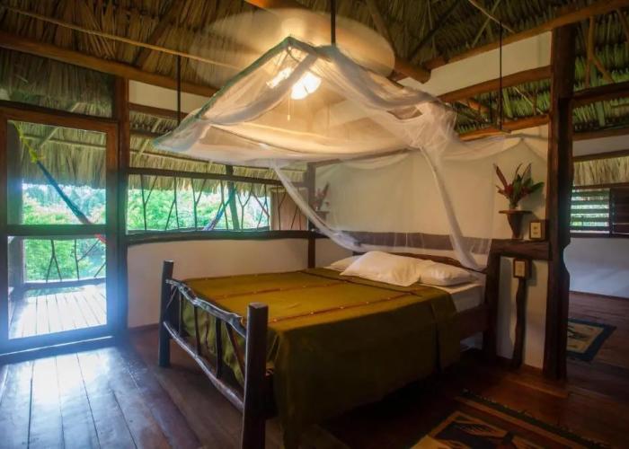 Cotton Tree Lodge