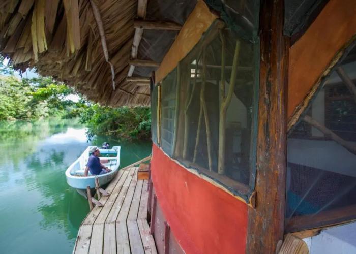 Cotton Tree Lodge
