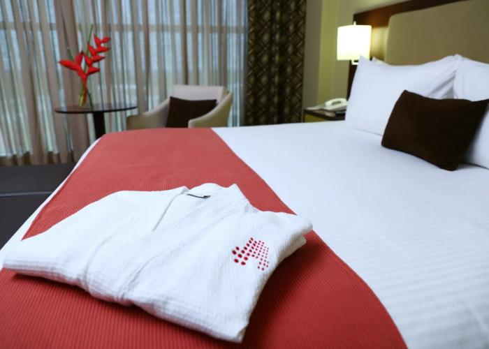 Hotel Ciudad De David