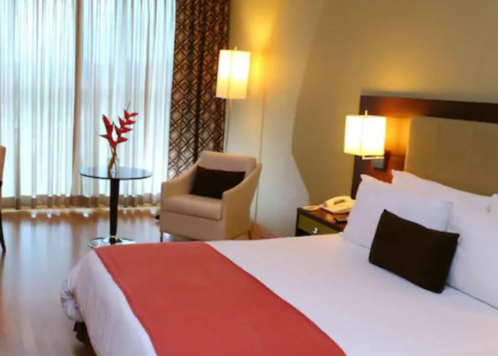 Hotel Ciudad De David