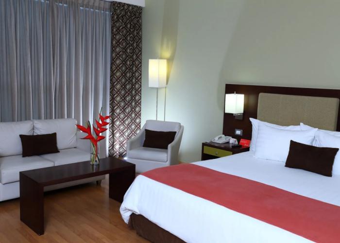 Hotel Ciudad De David