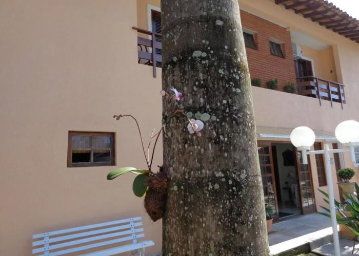 Hotel Costa Balena