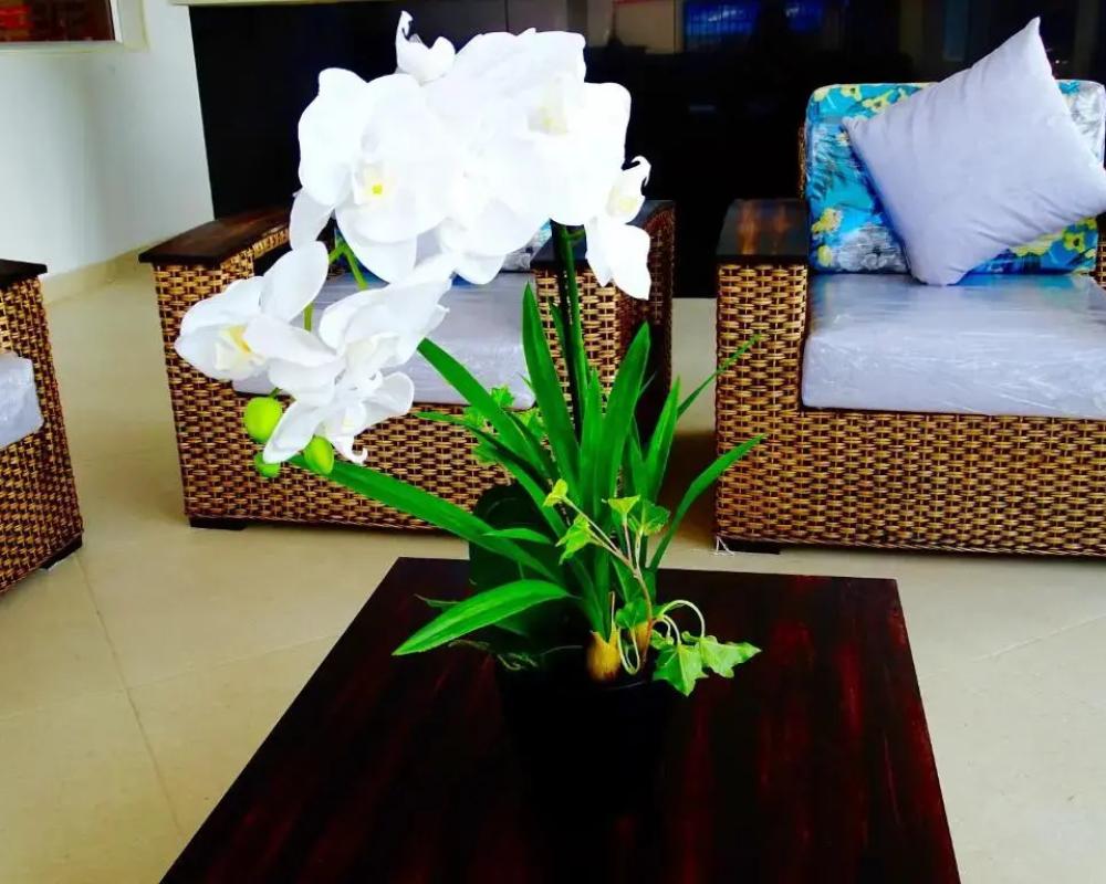 Alborada Hotel Melgar