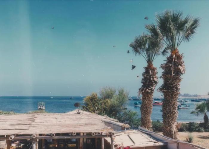 Viajero Paracas Hostel