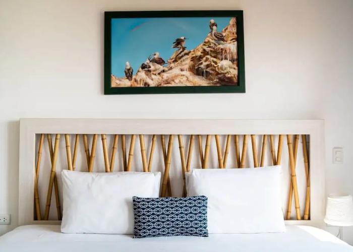 Atoq Paracas Reserva