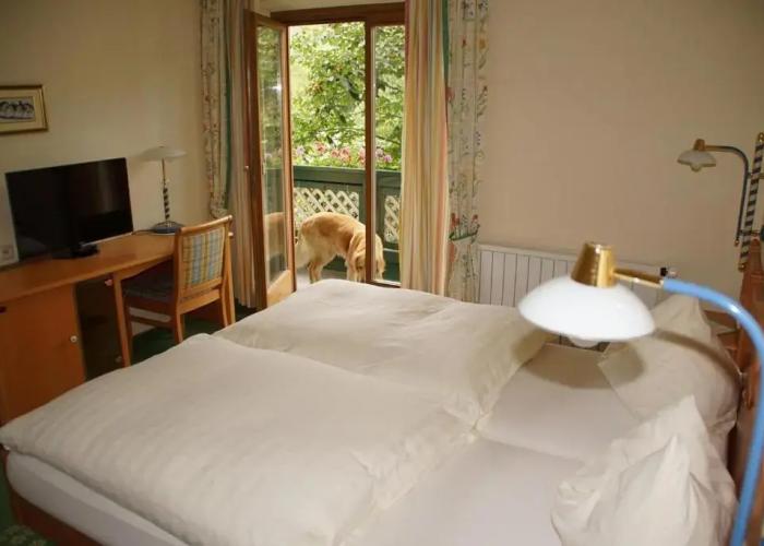 Hotel Voglauerhof