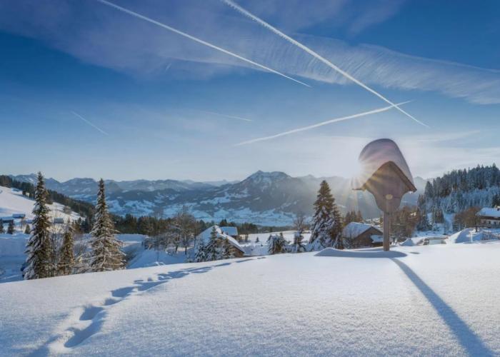 Bödele Alpenhotel