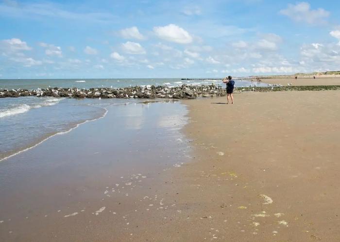 Comfy Holiday Home, Beach Within Walking Distance