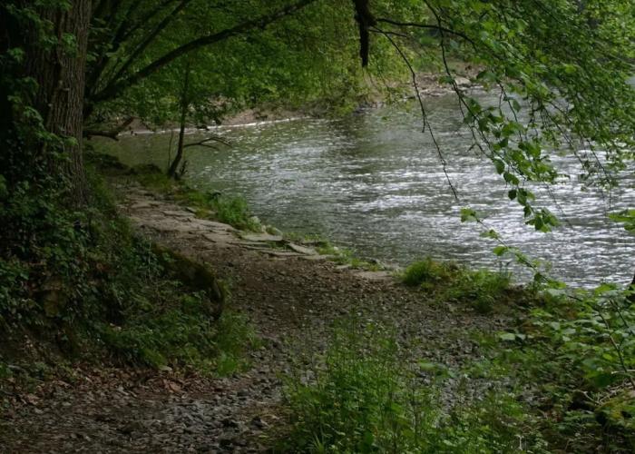 A Chalet for Re-energising in Peace, not far From Durbuy