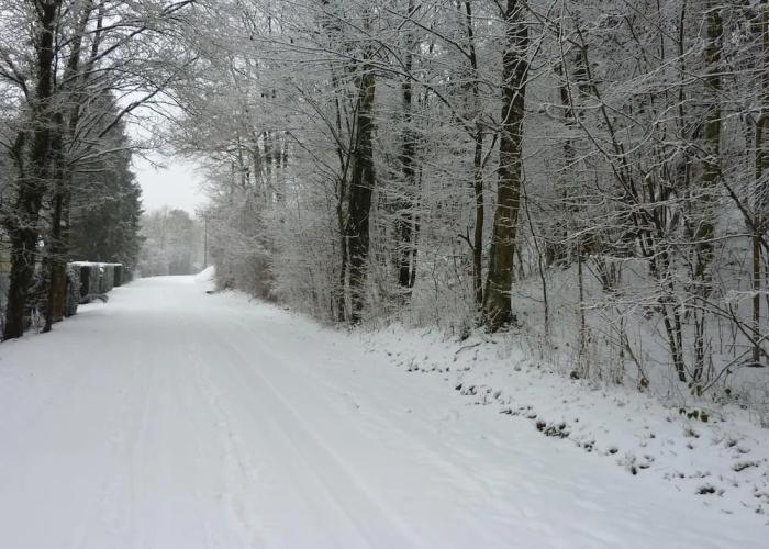 Apartment in Bohon Near Ourthe River