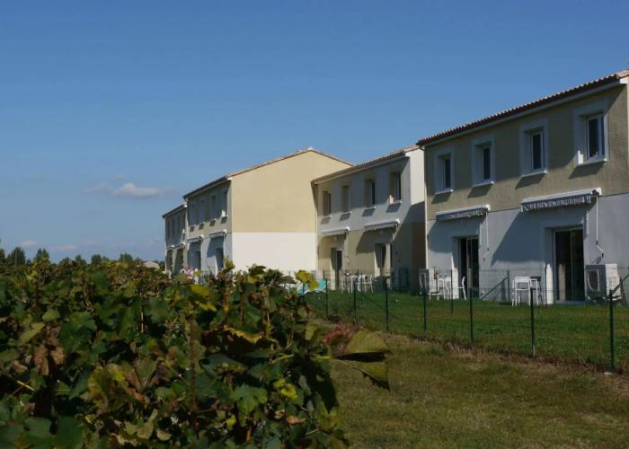 Les Grands Vignobles