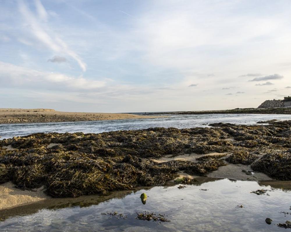 Grand Hôtel Benodet Abbatiale