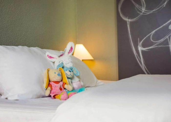 ibis Mulhouse Ile Napoléon