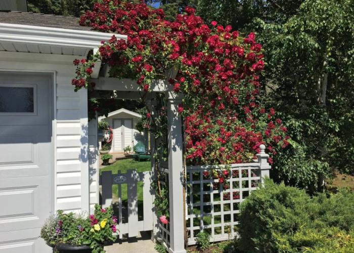 Alexandria House Bed & Breakfast
