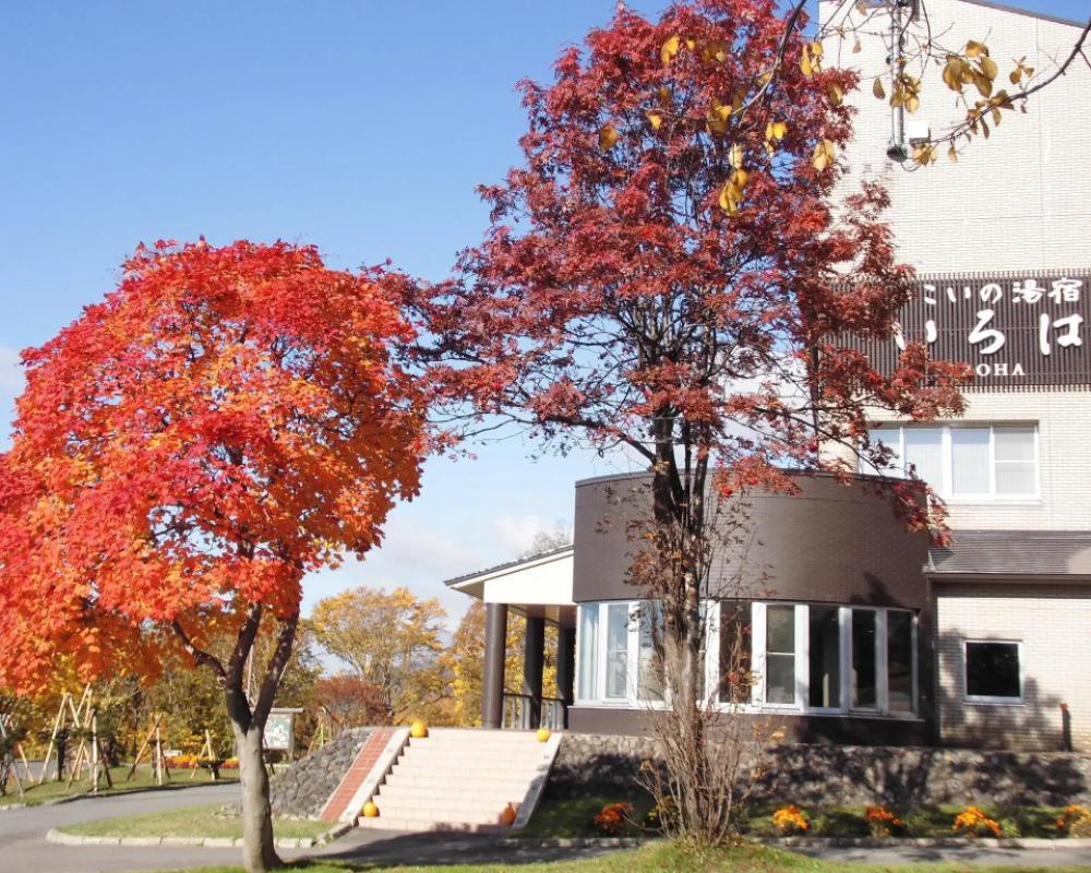 Niseko Hot Spring Ikoino Yuyado Iroha
