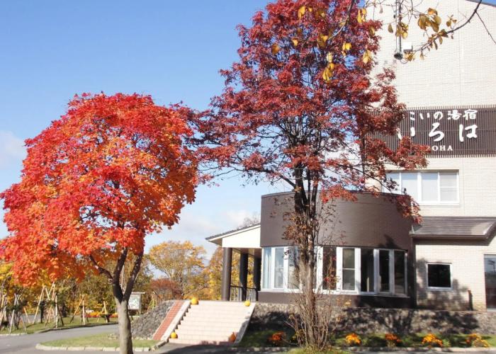 Niseko Hot Spring Ikoino Yuyado Iroha