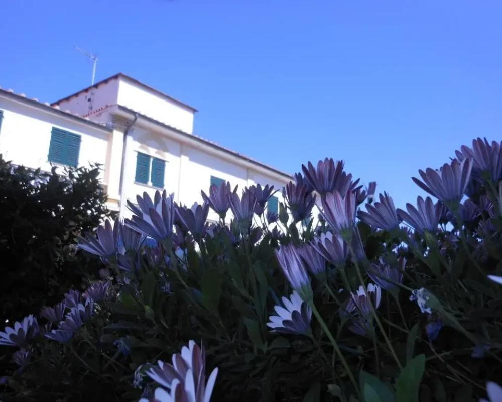 фото Il Lido