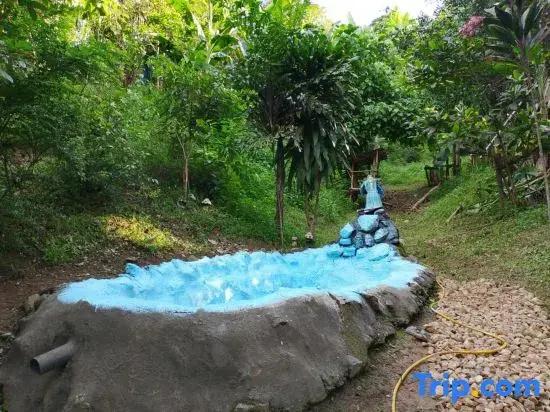 Camping Paradise and Singalong Mountain Garden