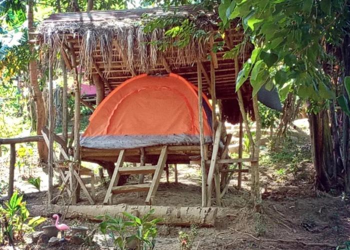 Camping Paradise and Singalong Mountain Garden