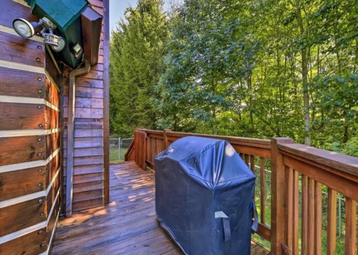 Ski, Hike, & Visit Vineyards: Banner Elk Cabin