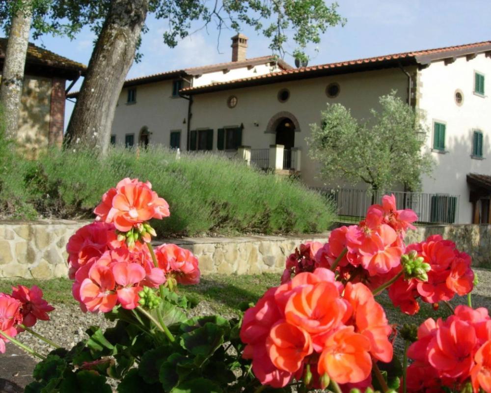 Fattoria di Belvedere