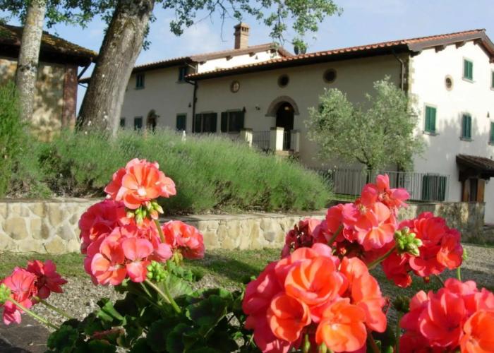 Fattoria di Belvedere