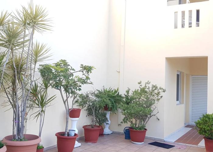 Guesthouse Zinovia