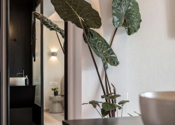 Nuovo Luxury Suites