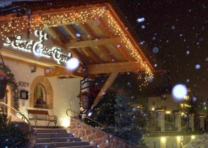 Hotel Cesa Tyrol